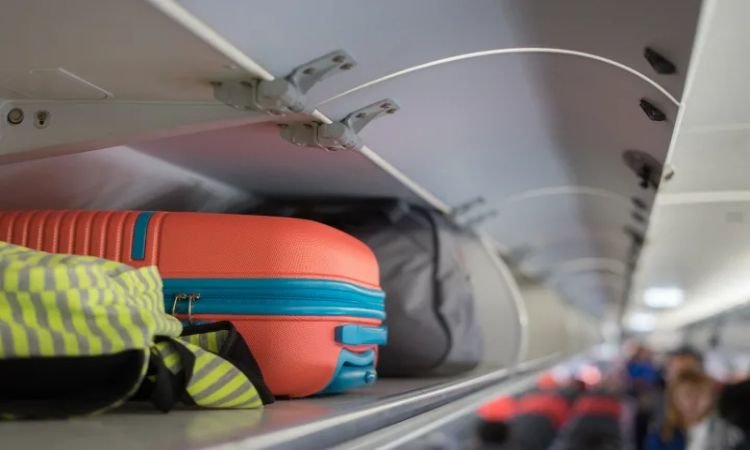 Luggage